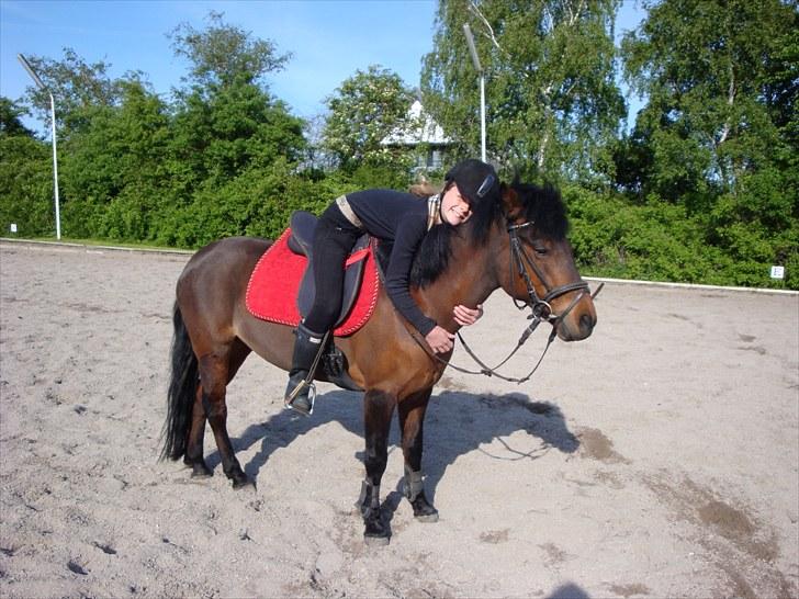 New Forest Zoya *Part* billede 2