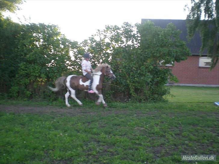 Anden særlig race Dolly (: Red!  - Dolly min super pony i; billede 13