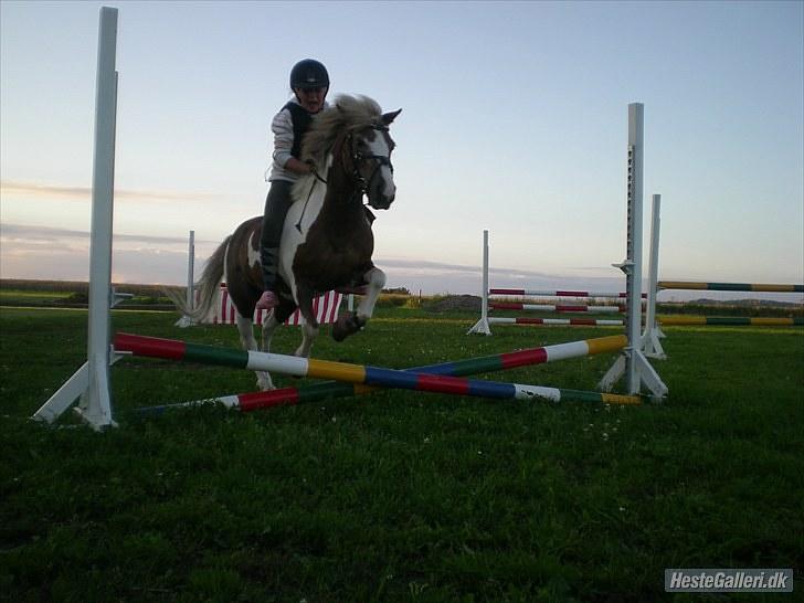 Anden særlig race Dolly (: Red!  - Dolly jeg vil aldrig blive for stor til dig<3 billede 14