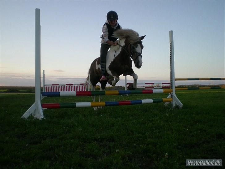 Anden særlig race Dolly (: Red!  - Du vil altid have en helt speciel plads i mit hjerte;D<3 billede 15