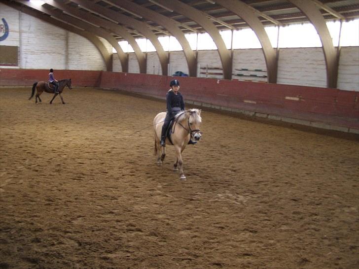 Anden særlig race Lucky<3 - så er vi igang billede 8