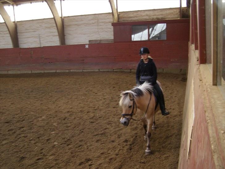 Anden særlig race Lucky<3 - så skidter vi af :) billede 11