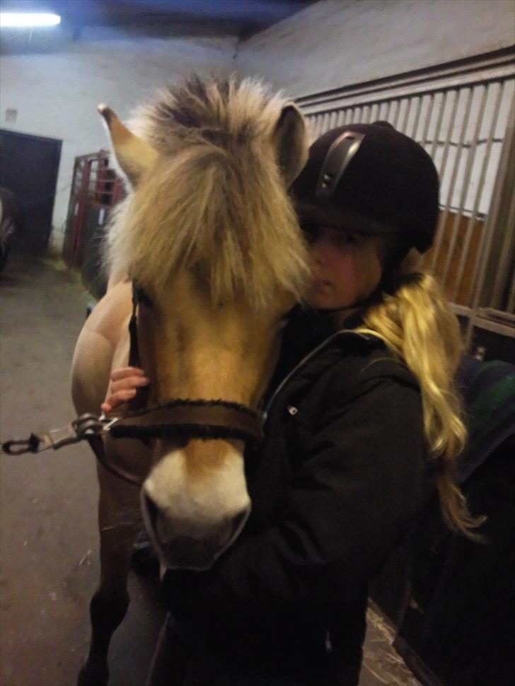 Anden særlig race Lucky<3 - på staldgangen.. I Love You! <3 billede 12