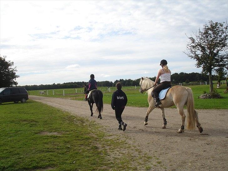 Haflinger Morgan - Anita rider Morgan, mens jeg går ved siden af :P ~ 13. september, 2010 billede 16