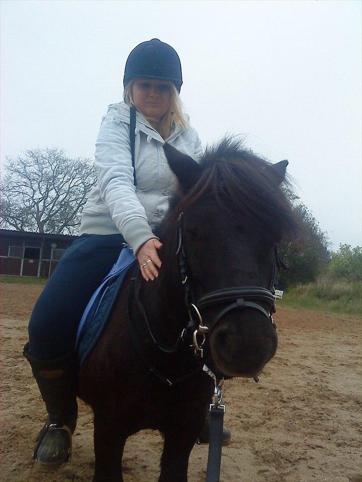 Shetlænder Samson <3 RIP <3 - Stine er vist mere utryg ved situationen, end Samson er ;) billede 7
