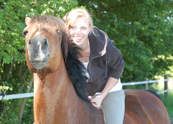 Anden særlig race Lykkebos Beauty billede 16