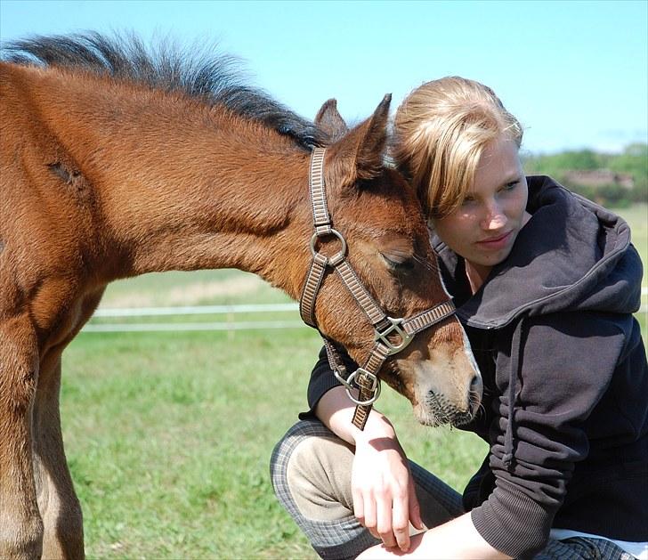 Anden særlig race Lykkebo's Athena - Athena 1½ måned gammel billede 3
