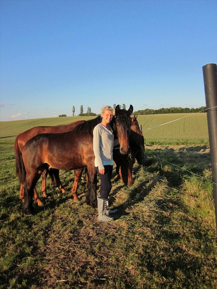 Anden særlig race Lille KLaus - Lille Klaus havde lige fået mad med gutterne, men gav sig lige tid til et par billeder i solen ;) billede 6