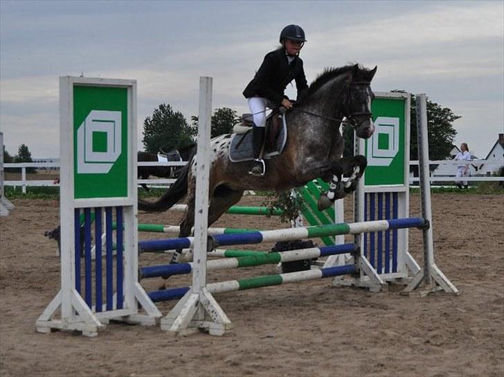 Anden særlig race Merlot Solgt+Savnet:'( - Sejepony! billede 12