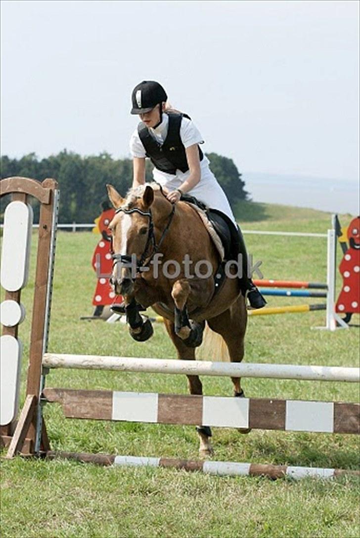 Anden særlig race Mitzi - Solgt - Vores første springstævne, Lc ;) fejlfrit.. billede 7