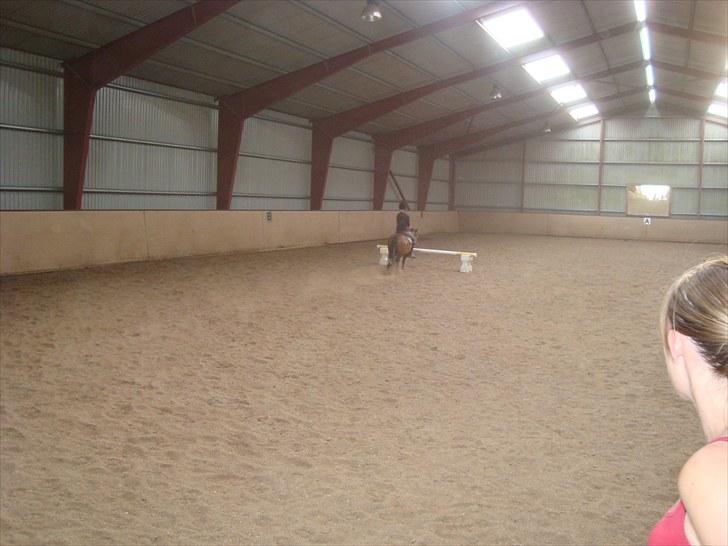 Anden særlig race Speeder. - LIge inden springet ( han springer over) billede 3