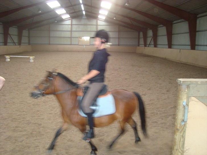 Anden særlig race Speeder. - Ditte der traver(; billede 4