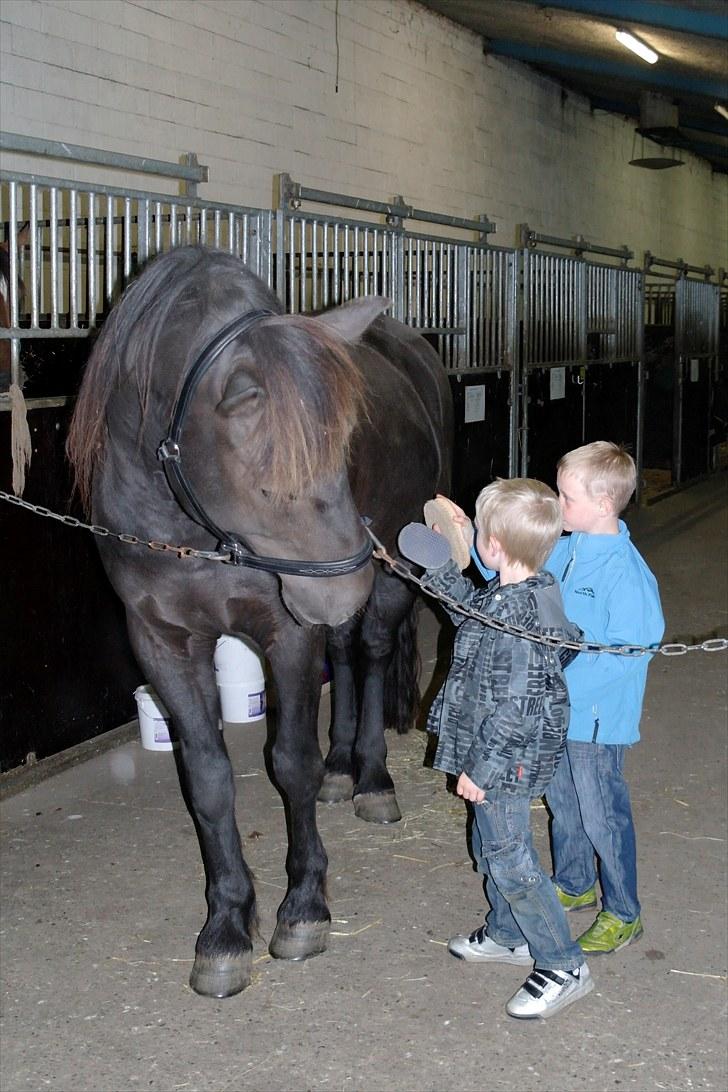 Anden særlig race Zephyr (Solgt) - Hilser pænt på Silas og Liam. billede 9