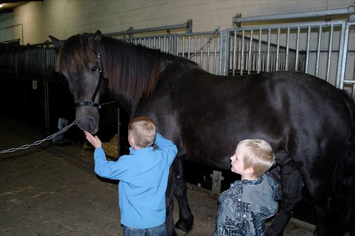 Anden særlig race Zephyr (Solgt) - "Hej Liam" :-) billede 10