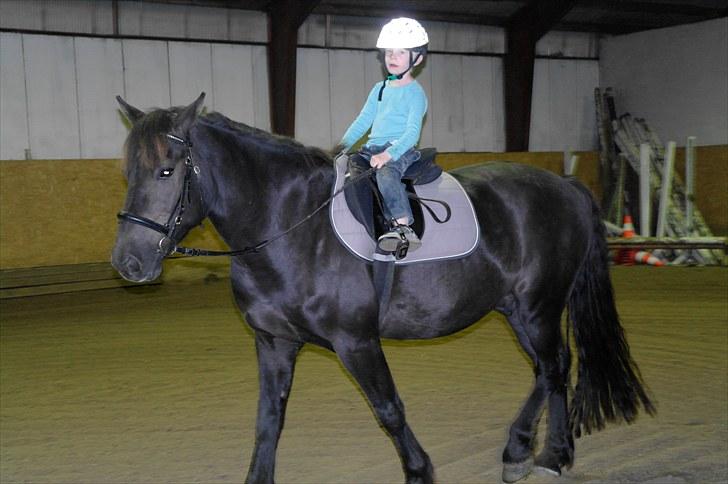 Anden særlig race Zephyr (Solgt) - Silas på ryggen. Ja, hvad skal man ikke finde sig i. billede 11