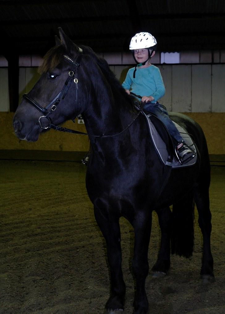 Anden særlig race Zephyr (Solgt) - Mine to fantastisk dejlige drenge. Hvem ville ikke være stolt? Jeg er i hvertfald... billede 12