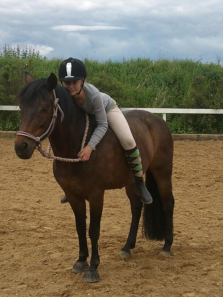 New Forest Mankehøjs Glamour<3 SOLGT:'-( billede 7