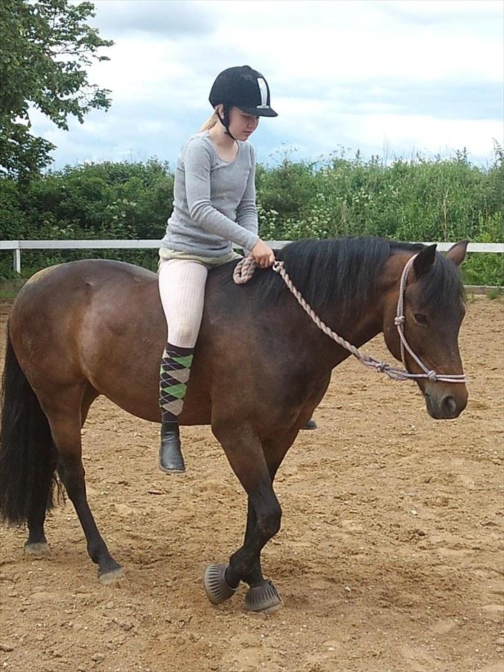 New Forest Mankehøjs Glamour<3 SOLGT:'-( billede 8