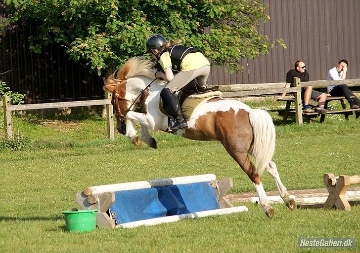 Anden særlig race Grøn Tuborg<3 - min pony kan godt nok springe til :) billede 10
