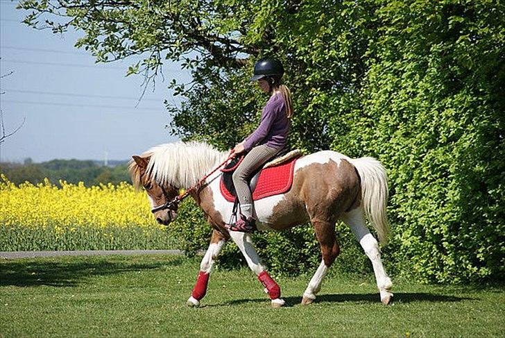 Anden særlig race Grøn Tuborg<3 - smukkker tubi billede 13
