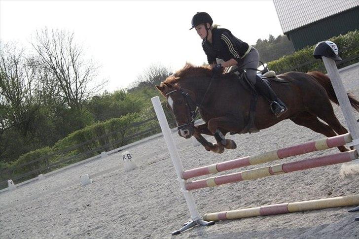 DSP Dalagergårds I-Do - så lækker du er<3 billede 5