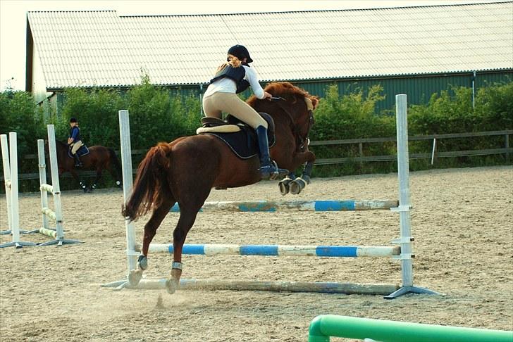 DSP Dalagergårds I-Do - så sød så sød billede 7