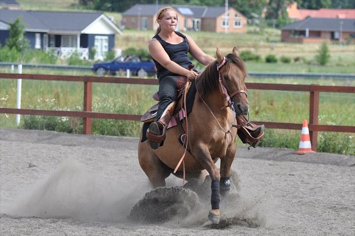 Quarter Pride Texas Cowgirl - Så stopper vi :D billede 1