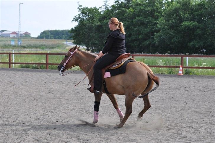 Quarter Pride Texas Cowgirl - Spin det går pænt hurtig (: billede 2
