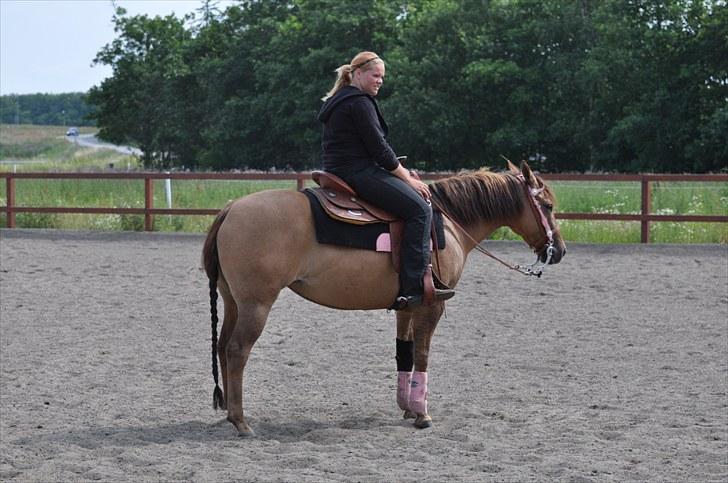 Quarter Pride Texas Cowgirl - Så står vi og venter imens vi for forklaring :D billede 3