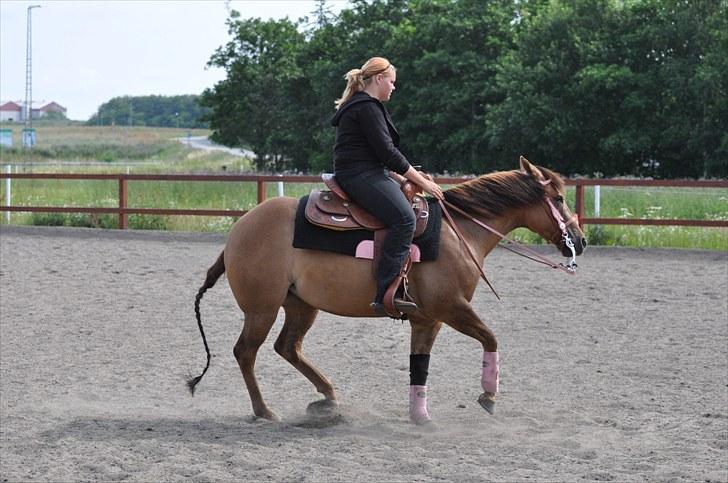 Quarter Pride Texas Cowgirl - pg så spinner vi igen :D billede 4