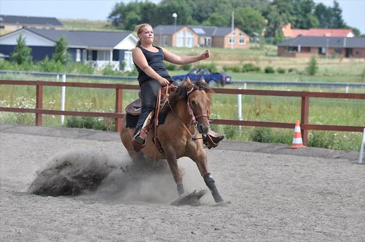 Quarter Pride Texas Cowgirl - der sat vi røven i jorden (: Det er Mega fedt :D billede 6
