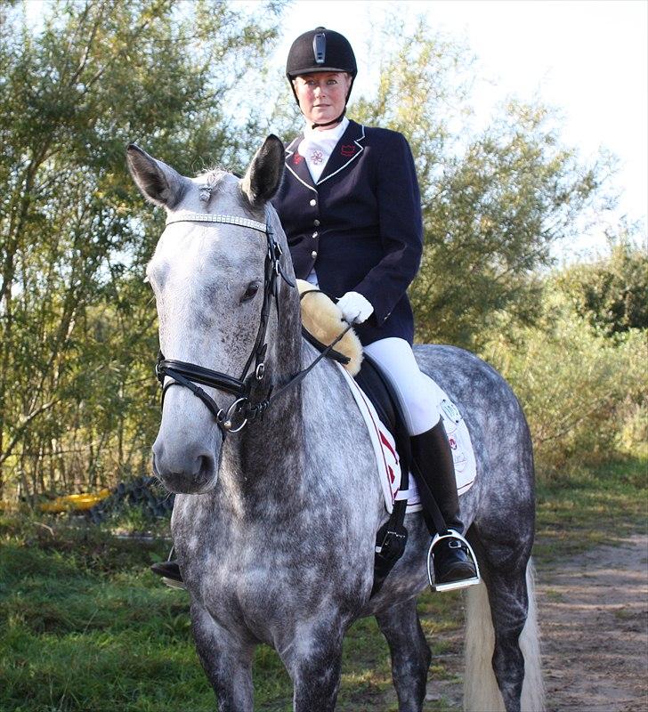 Dansk Varmblod Quiet nice - Quiet Nice RDH 416 Stævne d. 25-09-2010 billede 26