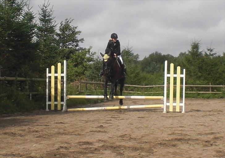 Anden særlig race | CHOPIN. - Klubmesterskab i spring. Vi blev nr. 2 :) billede 12