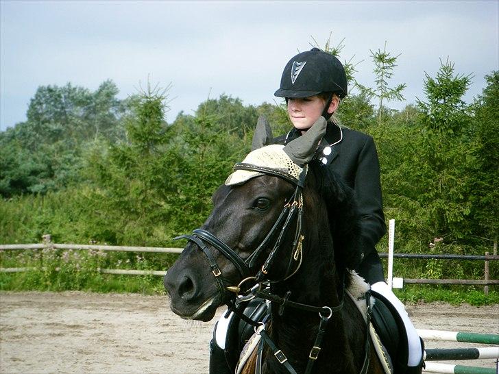 Anden særlig race | CHOPIN. - Klubmesterskab i spring. Vi blev nr. 2 :) Foto: Far billede 13