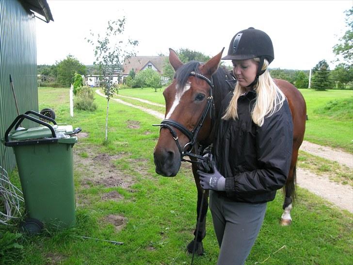 Westfaler wiktoria  billede 14