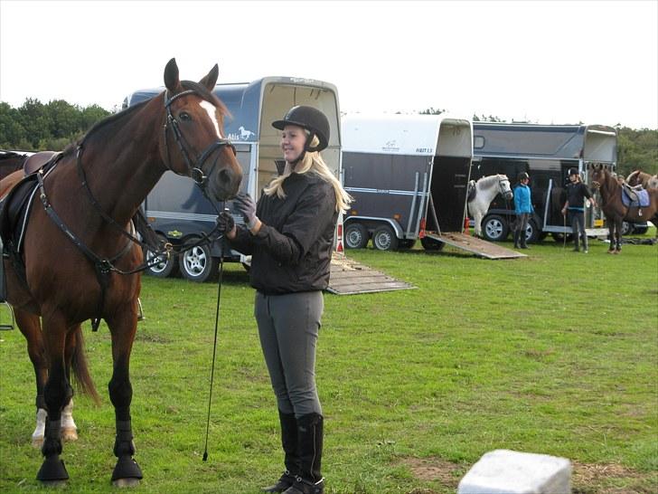 Westfaler wiktoria  billede 16