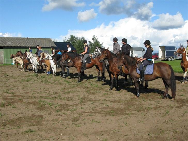 Westfaler wiktoria  billede 18