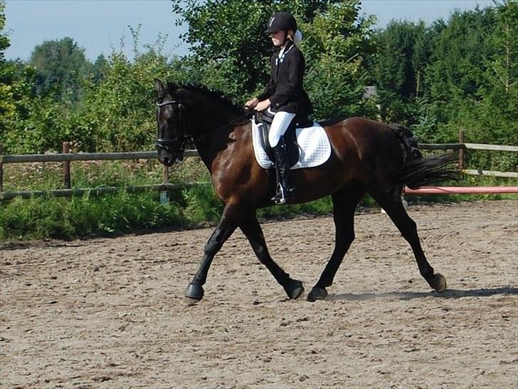 Anden særlig race | CHOPIN. - Klubstævnet. Nr. 2 :D KM-Foto billede 15