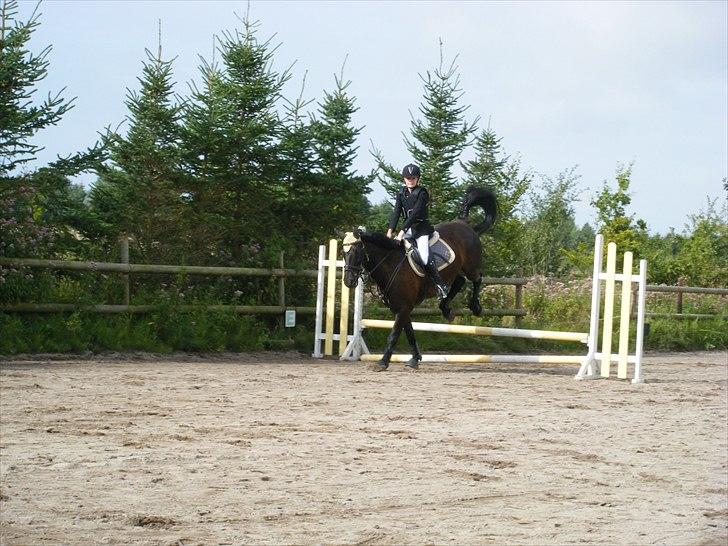 Anden særlig race | CHOPIN. - Kegle billed x). Vi blev nr. 2 :) Foto: Far billede 16