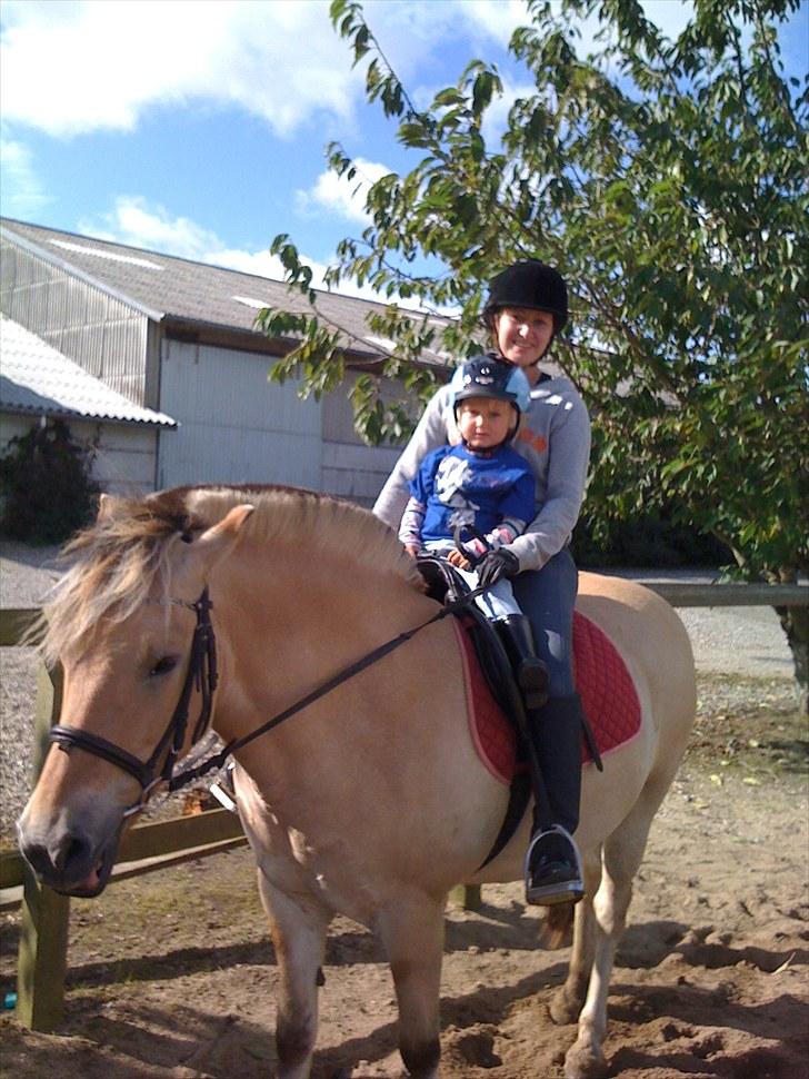 Fjordhest Ronja - Mig og min ældste datter Shaqline på knap 3 år billede 15