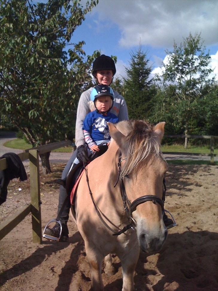 Fjordhest Ronja - Shaqline, Ronja og jeg igen.. billede 16