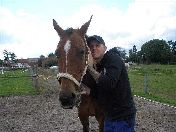 Holstener Cassiopeia R.I.P billede 14