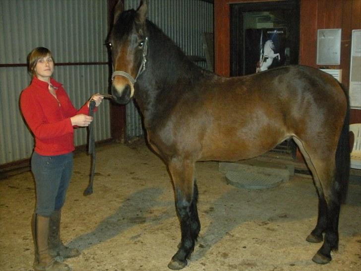 Anden særlig race Bruno - 29-11-2009 billede 9