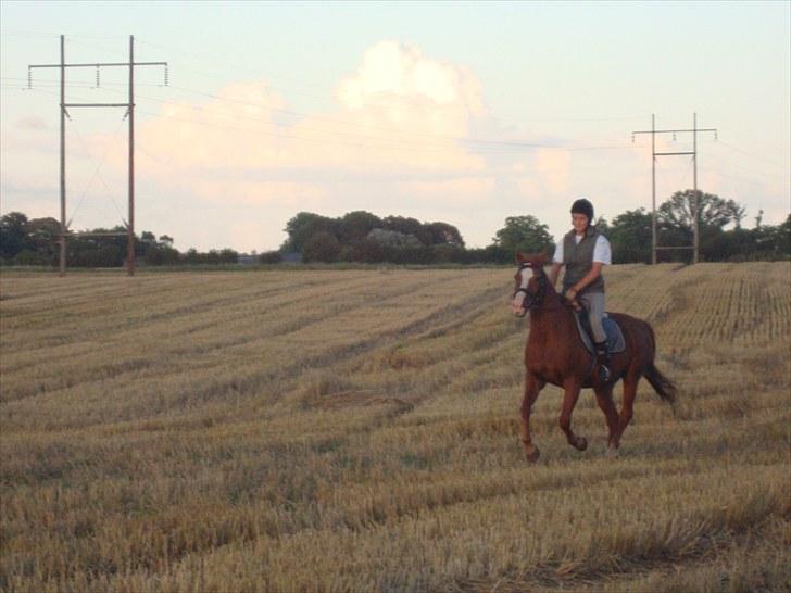 Anden særlig race Ponto *R.I.P* - Ponto :-) .. foto: birgitte simonsen billede 16