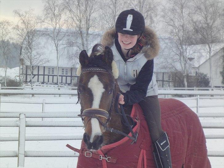 Hollandsk Sportspony Peace, rest in Peace :'( - i sneen :-)) billede 16