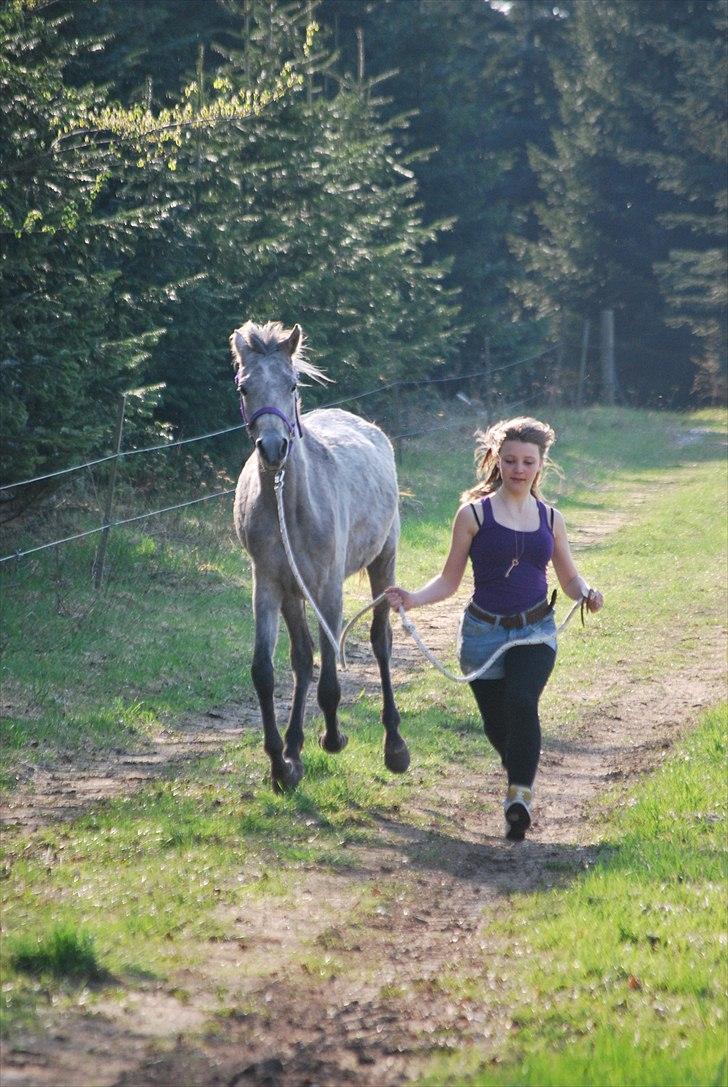 Arabisk fuldblod (OX) | Diemma <3 *Amy* - The two of us. One of those moments you wanna keep in your mind forever :) Foto: ESC billede 12