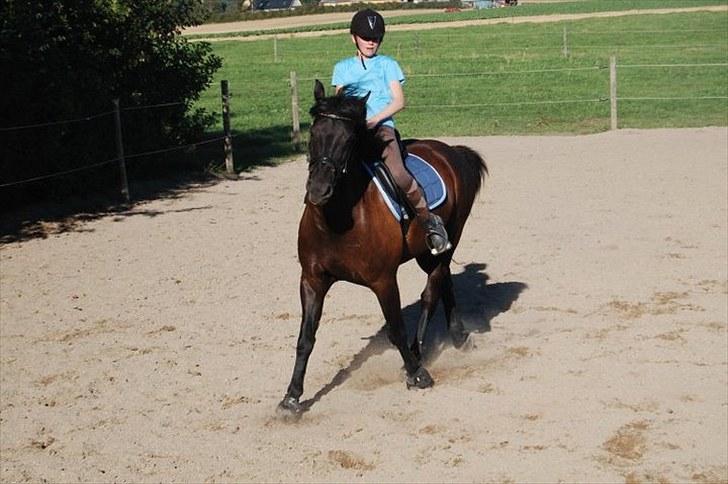 Anden særlig race | CHOPIN. - Kegle billedet, kæft vi ser dumme ud haha billede 17