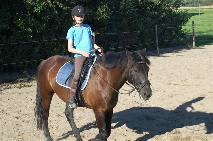 Anden særlig race | CHOPIN. - Km-foto  billede 19