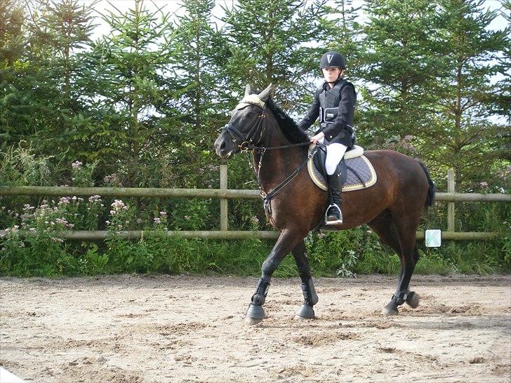 Anden særlig race | CHOPIN. - Chupsen, vi er lige færdige med vores runde <33 :D Foto: Far billede 20