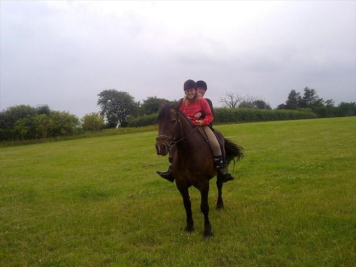 Anden særlig race Lukas *Himmelhest* - Ja det skulle jo prøves at vi sidder på ham begge to:-) billede 10